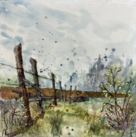 Diane Larouche Ellard - Almost Virgin Prairie