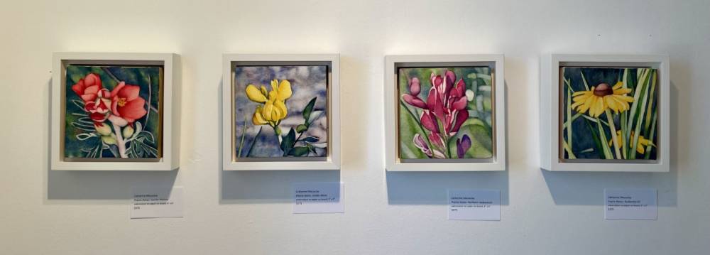 Cloakroom Gallery Art Exhibition at Prairie Wind & Silver Sage