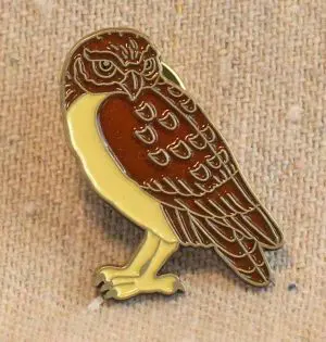Burrowing Owl Pin