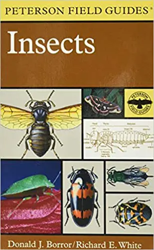 Peterson Field Guide to Insects: America North of Mexico