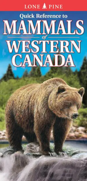 Quick Reference to Mammals of Western Canada, Lone Pine