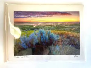 Grasslands Sunrise Notecard By Robert Postma