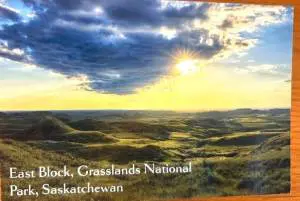 Prairie Light Postcard Robert Postma