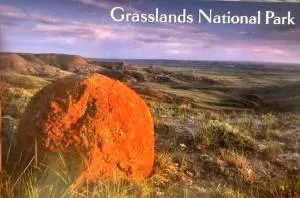 Red Rock Grasslands National Park Postcard Robert Postma