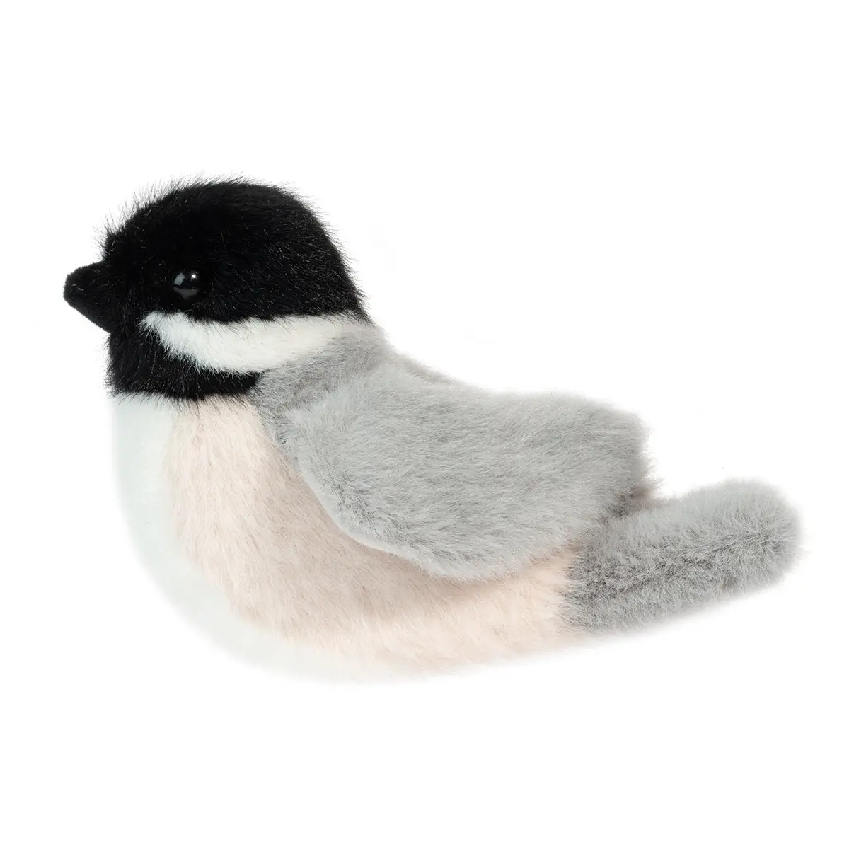 Douglas Chipper Chickadee Bird