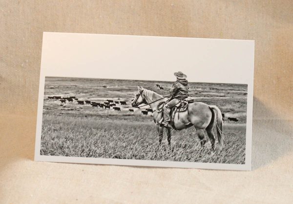 GNP Cowboy notecard