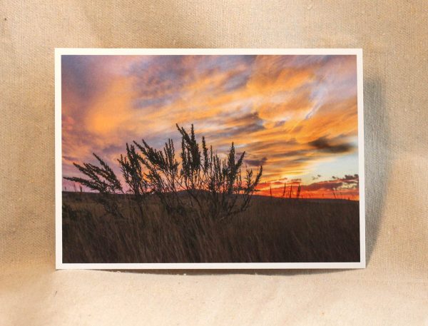 GNP Postcard Sunset