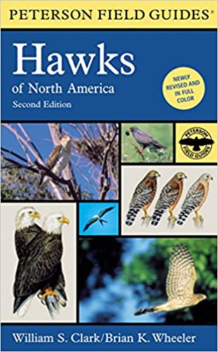 Peterson Field Guide Hawks of North America