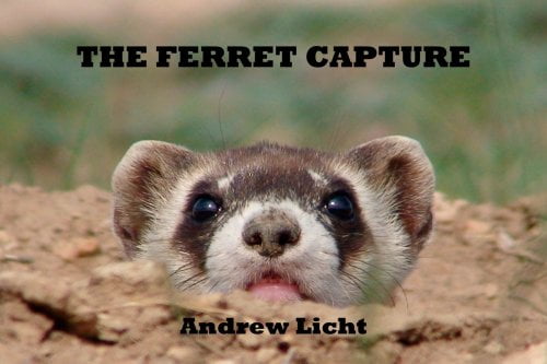 The Ferret Capture by Andrew Licht