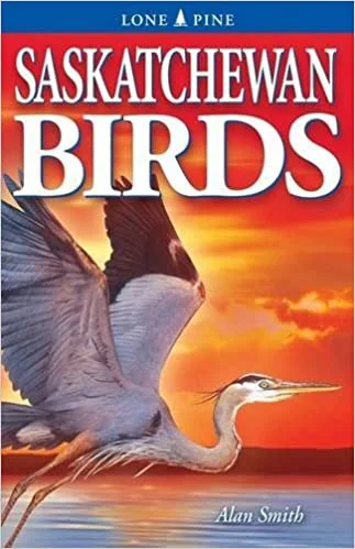 Saskatchewan Birds By Alan Smith