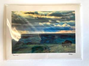 Sentinel Bison Notecard By Robert Postma