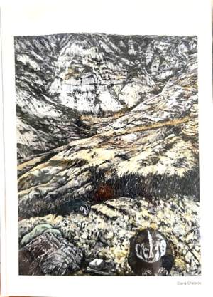 Diana Chabros - Badgers Notecard