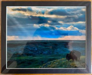 Sentinel Matted Print - Robert Postma