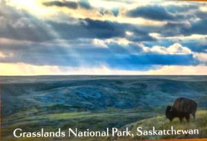 Sentinel Postcard Robert Postma