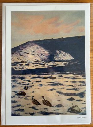 Diana Chabros - The Silence is Deafening: Ode to Rachel Carson