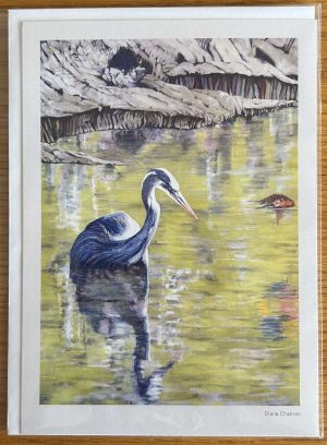 Great Blue Heron Notecard - Diana Chabros
