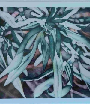 Blue November Notecard - Catherine Macaulay