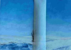 Laureen Marchand Winter Tree